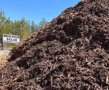 MOCHA MULCH MOCHA MULCH
